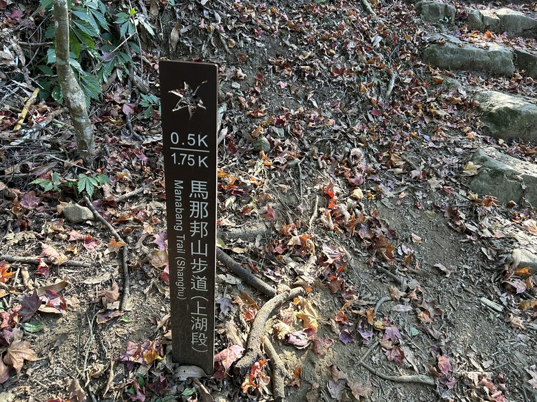 苗栗馬那邦山遠眺聖稜線(健行賞楓)