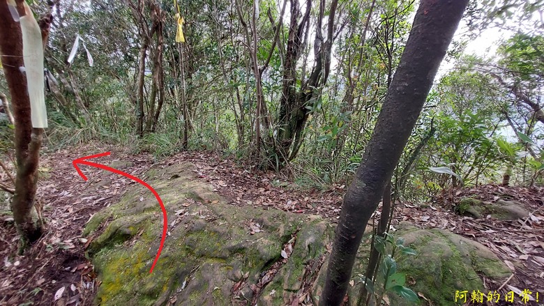 平溪好多尖|尖山尖尖東峰 石燭尖、九龍山、無名尖、峰頭尖東峰,環狀O型走一圈