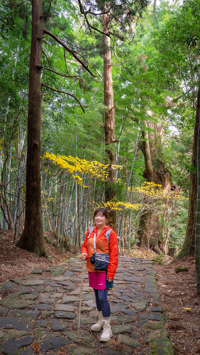 點我看大圖 2023冬☃ 世界遺產-和歌山紀伊半島熊野古道