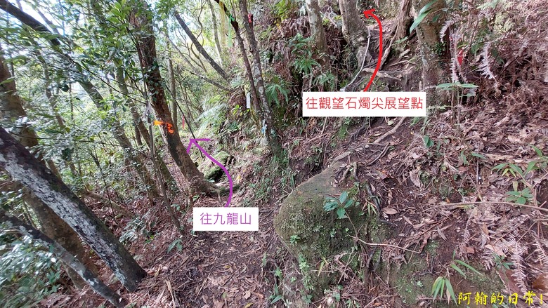 平溪好多尖|尖山尖尖東峰 石燭尖、九龍山、無名尖、峰頭尖東峰,環狀O型走一圈
