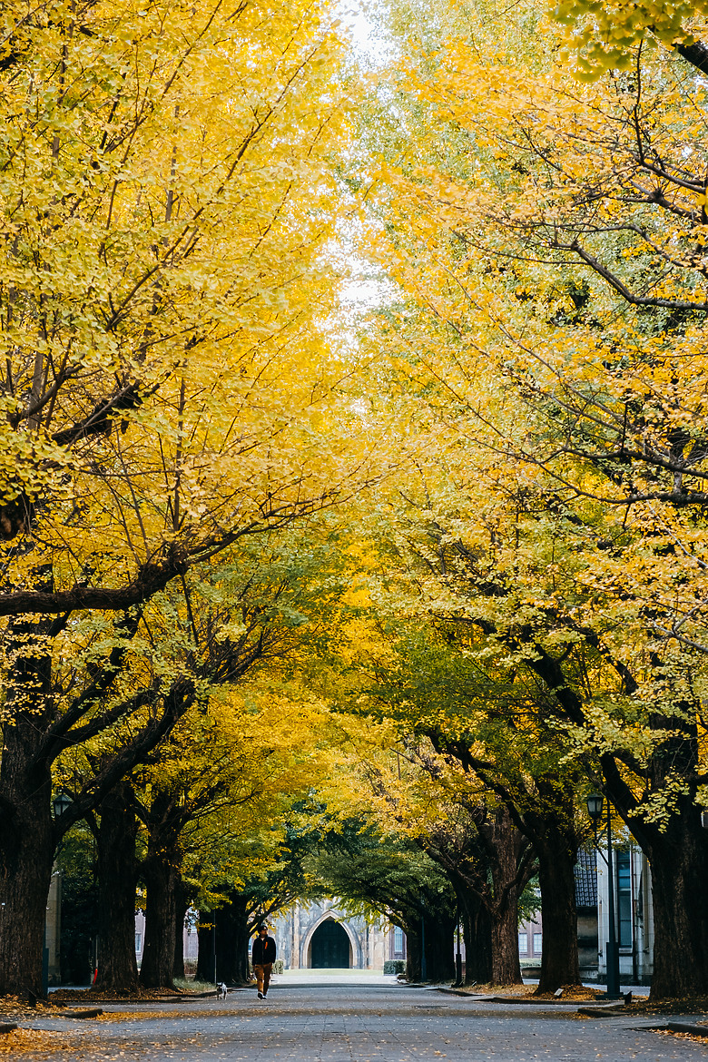 東京見聞錄 XT3 sigma18-50 2023.11