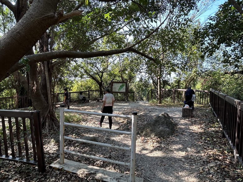 【小惡魔金龍踏春】壽山國家自然公園(半屏山登山步道健行)