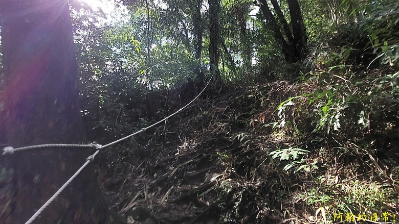 平溪好多尖|尖山尖尖東峰 石燭尖、九龍山、無名尖、峰頭尖東峰,環狀O型走一圈
