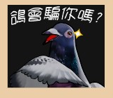 求有趣的鴿子貼圖
