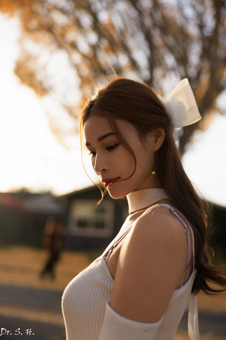 秋天黃葉春天發