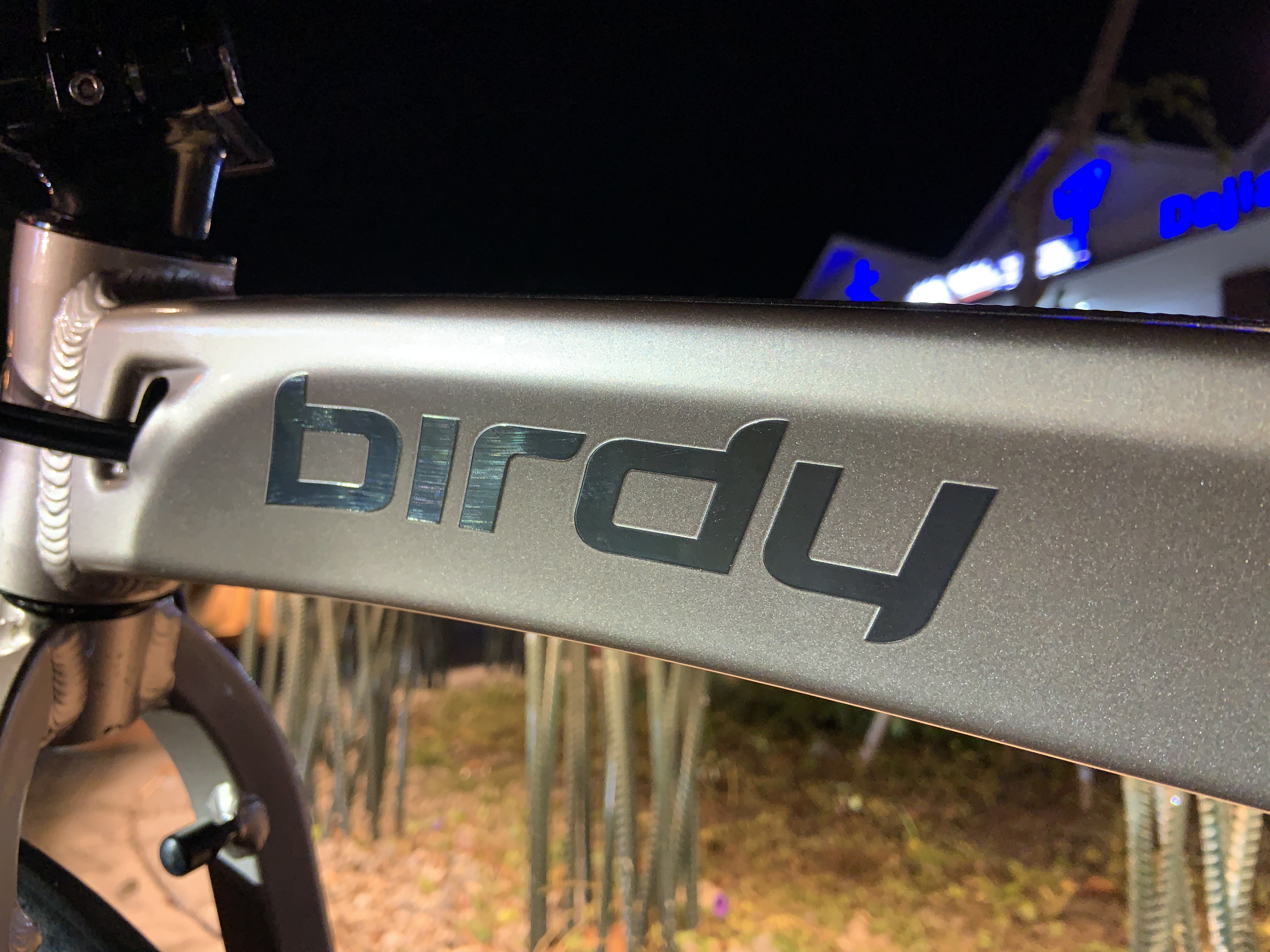 鳥車Birdy R20騎乘100K開箱分享（改上Speed Drive前內變）