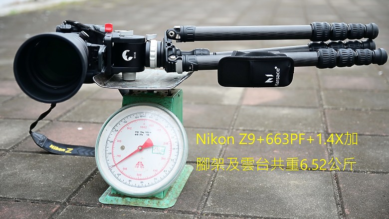 拍鳥輕量化，馬小路SV-35液壓雲台開箱，搭配Z9+663PF+1.4X。