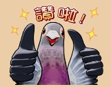 求有趣的鴿子貼圖