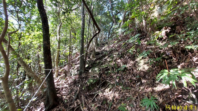 平溪好多尖|尖山尖尖東峰 石燭尖、九龍山、無名尖、峰頭尖東峰,環狀O型走一圈
