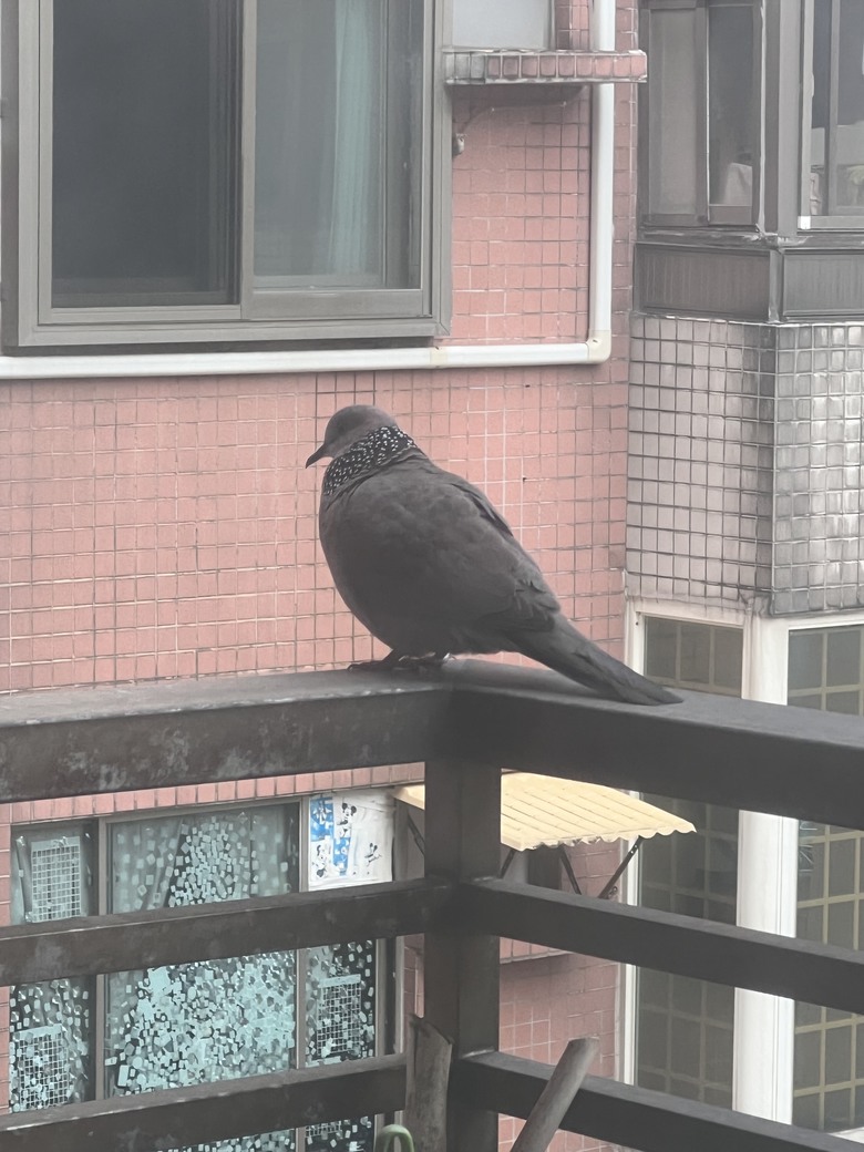 2024 順心事事