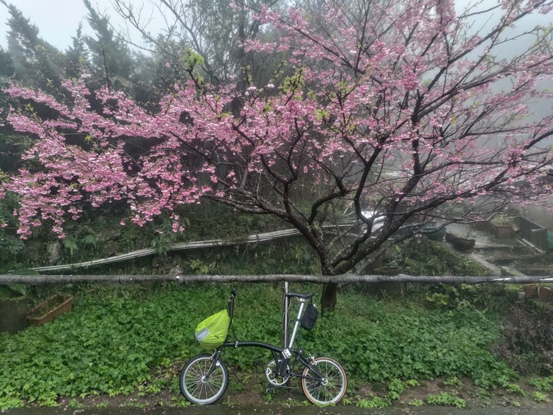 陽明山賞雪 | 車開不上去 | 騎小折可以