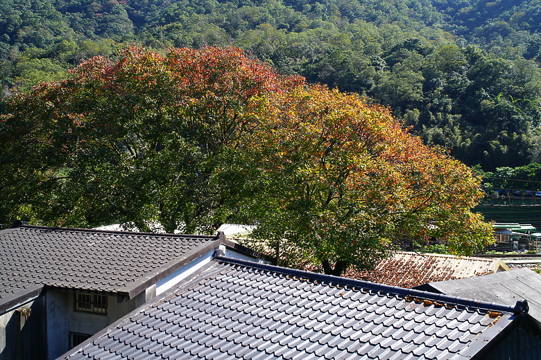 點我看大圖 Samyang AF 35-150mm f/2-2.8 FE 評測報告|充滿驚奇更有實力的後起之秀!