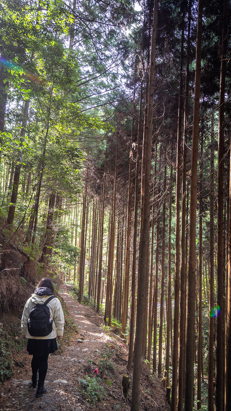 點我看大圖 2023冬☃ 世界遺產-和歌山紀伊半島熊野古道