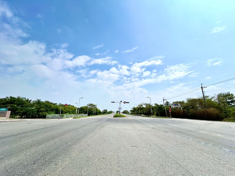 點我看大圖 安南大面寬雙面臨路都農