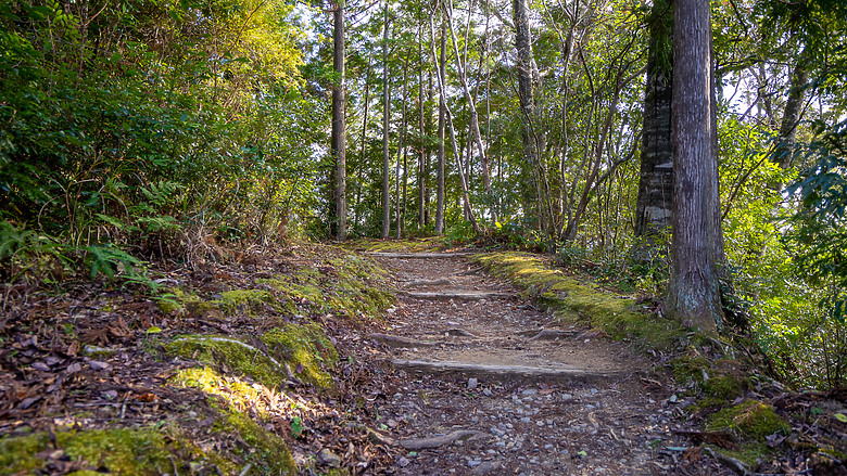 點我看大圖 2023冬☃ 世界遺產-和歌山紀伊半島熊野古道