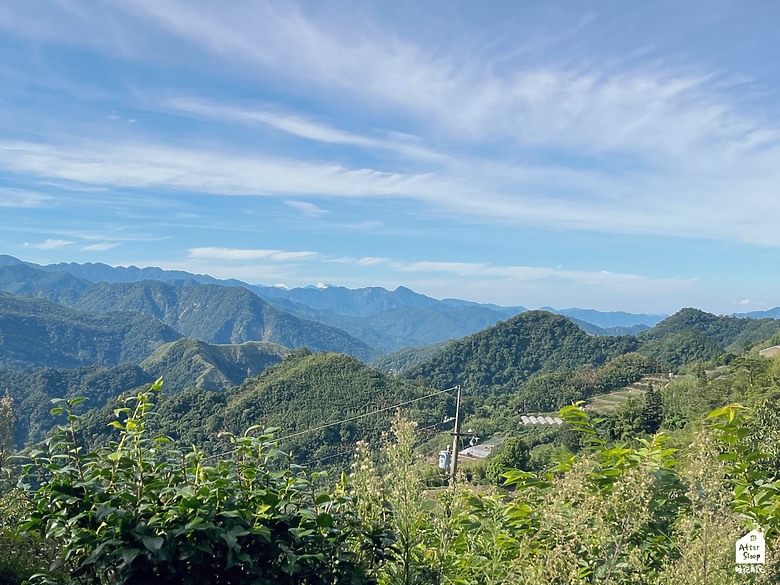 點我看大圖 嘉義阿里山|茶香花園民宿_絕美山景遠眺日出的好地方