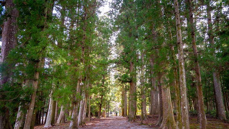 點我看大圖 2023冬☃ 世界遺產-和歌山紀伊半島熊野古道