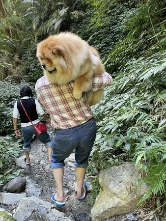 奴才扛「20KG↑瓦斯桶」爬山苦嘆:會搞死自己路人反應笑噴千人