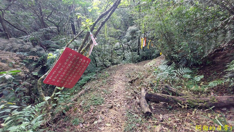 平溪好多尖|尖山尖尖東峰 石燭尖、九龍山、無名尖、峰頭尖東峰,環狀O型走一圈