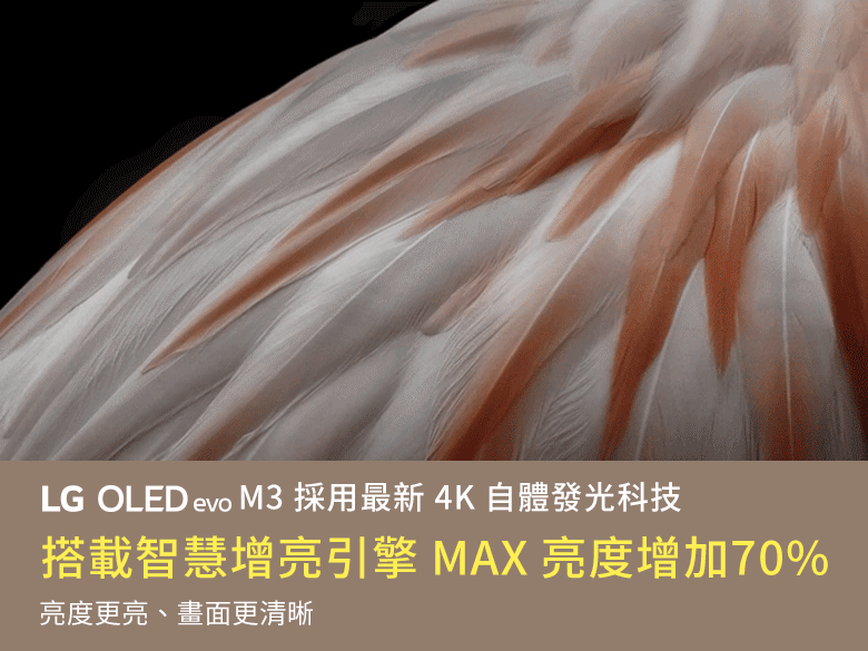 【獨家早鳥首賣】真無線時代來臨！LG OLED evo M3 真無線電視