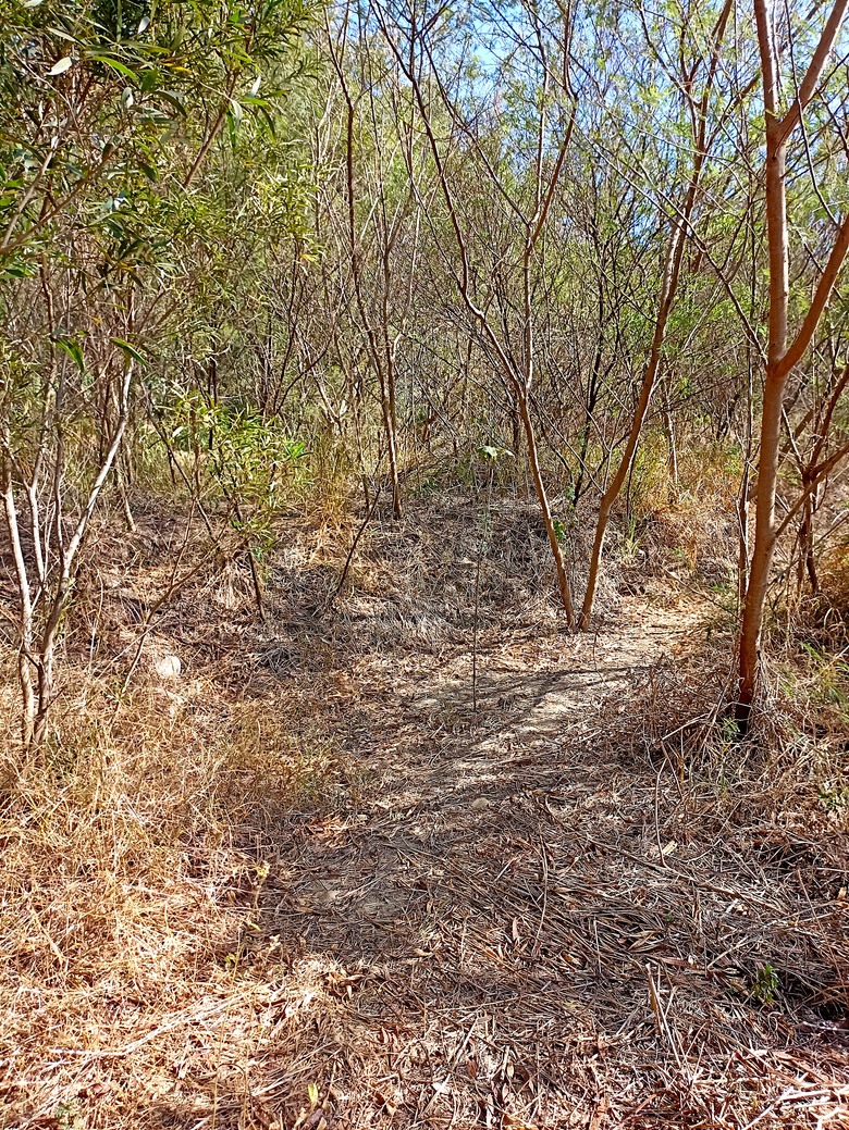 火炎山腳下