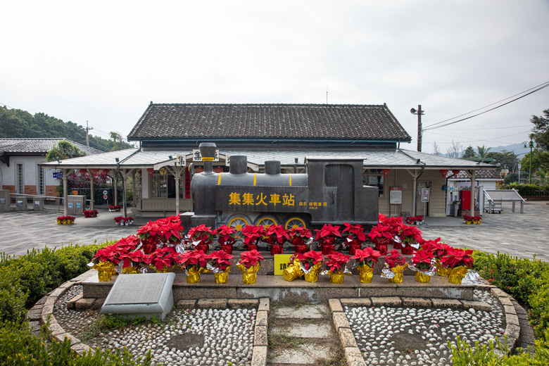 南投水里賞櫻｜集集車站與驛站、八張牛肉麵、阿本農場櫻花園、蠻荒咖啡