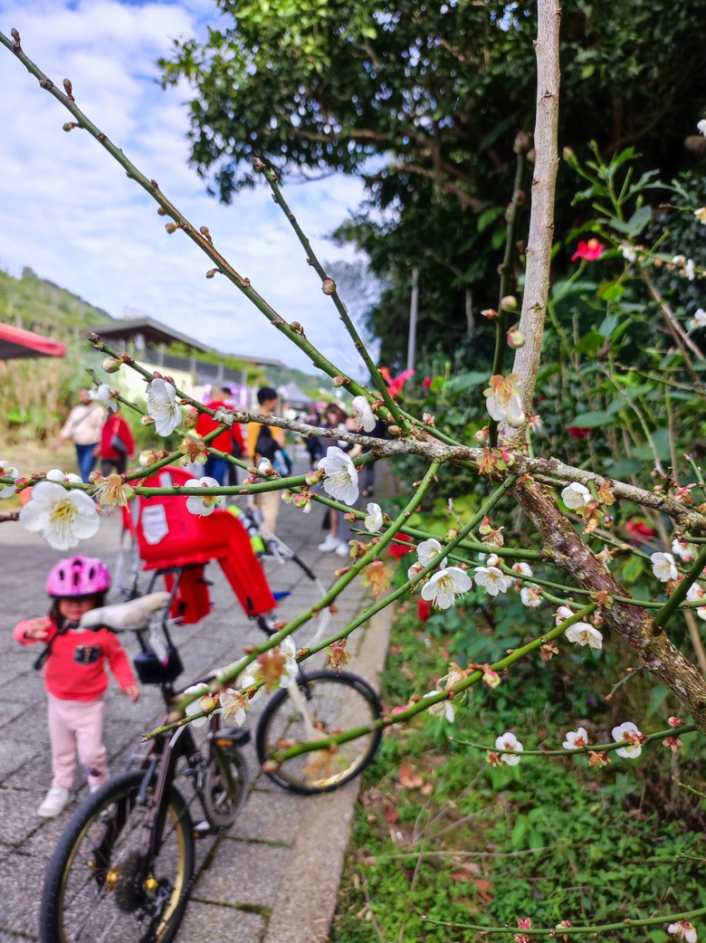 2024新年，小小孩的騎旅，嘉義，梅山36彎挑戰賽，