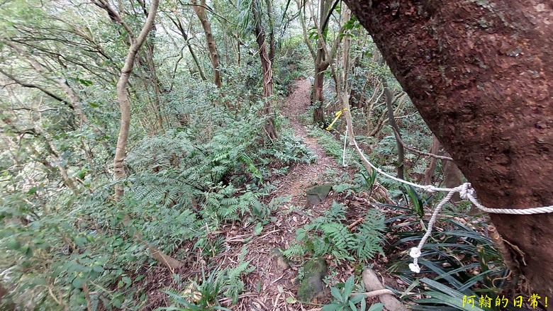 平溪好多尖|尖山尖尖東峰 石燭尖、九龍山、無名尖、峰頭尖東峰,環狀O型走一圈