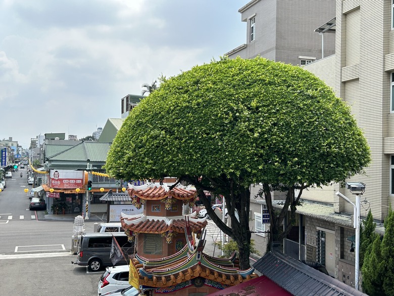 騎 遊 嘉 義 四 大 圓 環 ( 下 集 )
