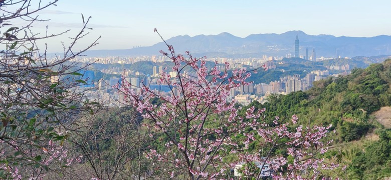新店旅遊景點分享