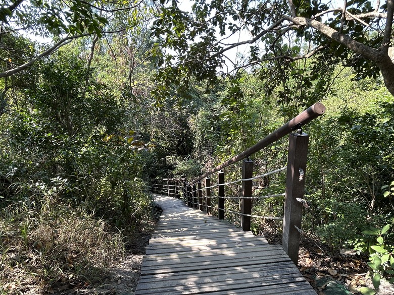 【小惡魔金龍踏春】壽山國家自然公園(半屏山登山步道健行)