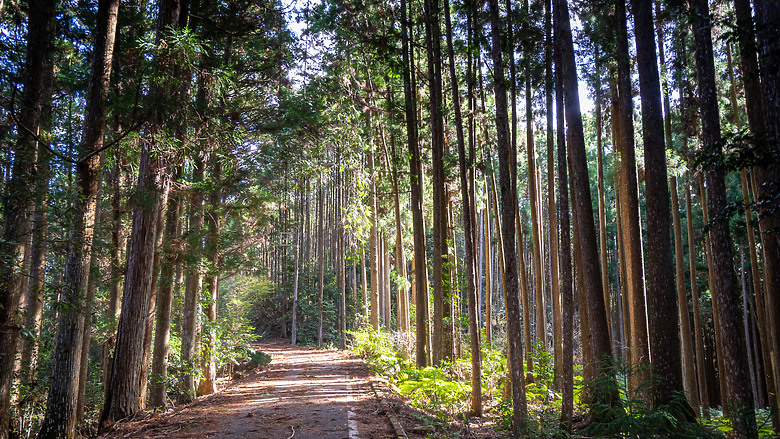 點我看大圖 2023冬☃ 世界遺產-和歌山紀伊半島熊野古道