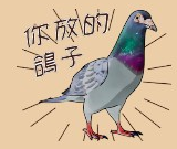 求有趣的鴿子貼圖