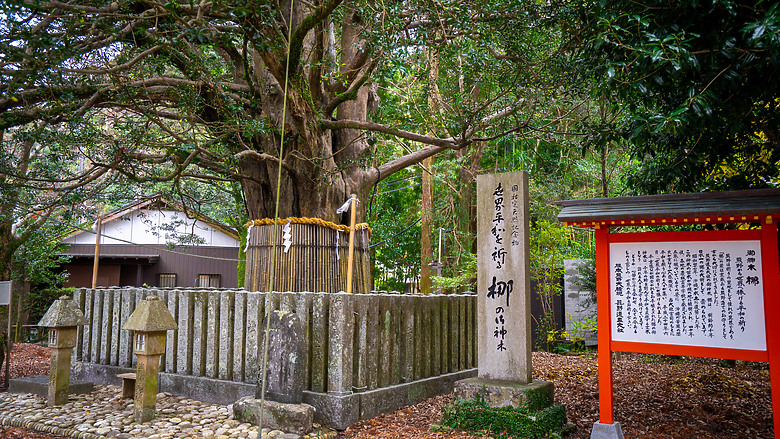 點我看大圖 2023冬☃ 世界遺產-和歌山紀伊半島熊野古道