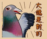 求有趣的鴿子貼圖