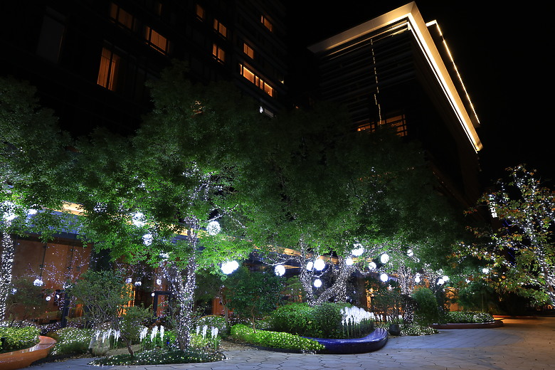 點我看大圖 Canon RF 24-105mm f/2.8L IS USM Z 評測報告|攝錄雙棲、多用途的混合變焦鏡!
