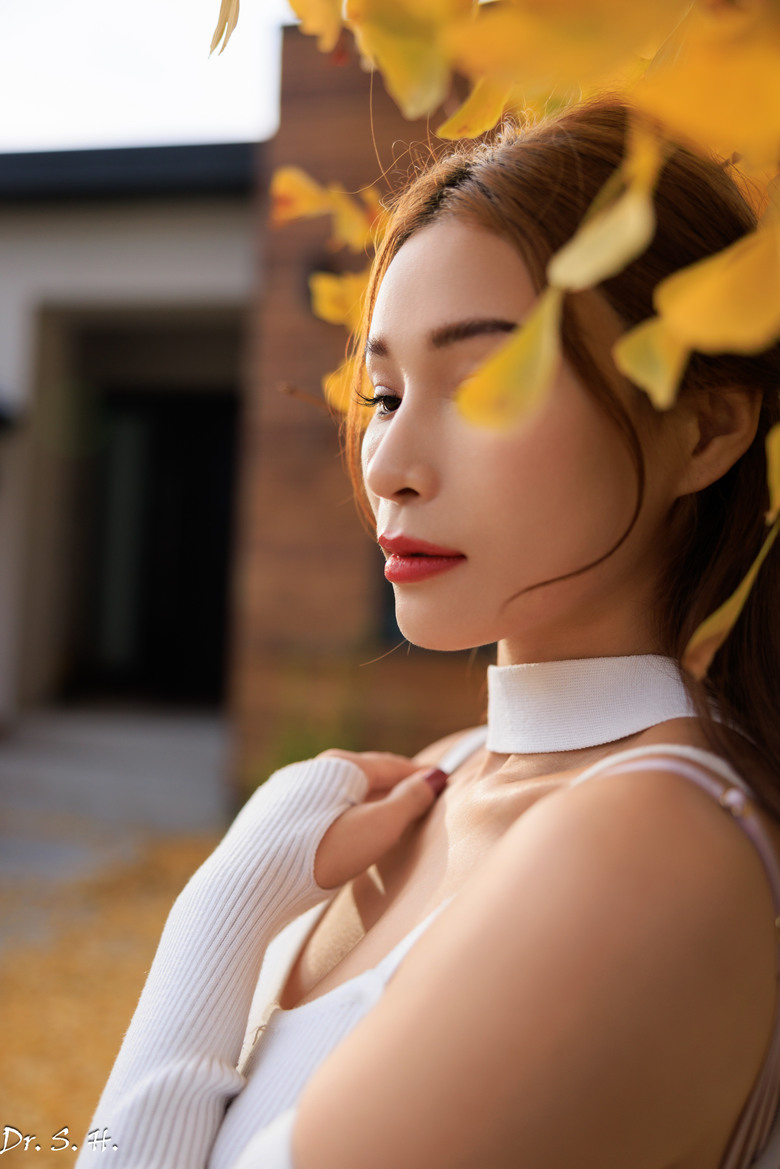 秋天黃葉春天發