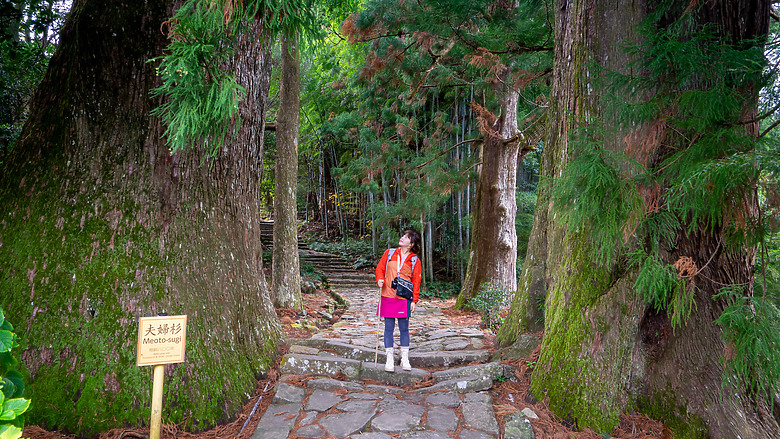 點我看大圖 2023冬☃ 世界遺產-和歌山紀伊半島熊野古道