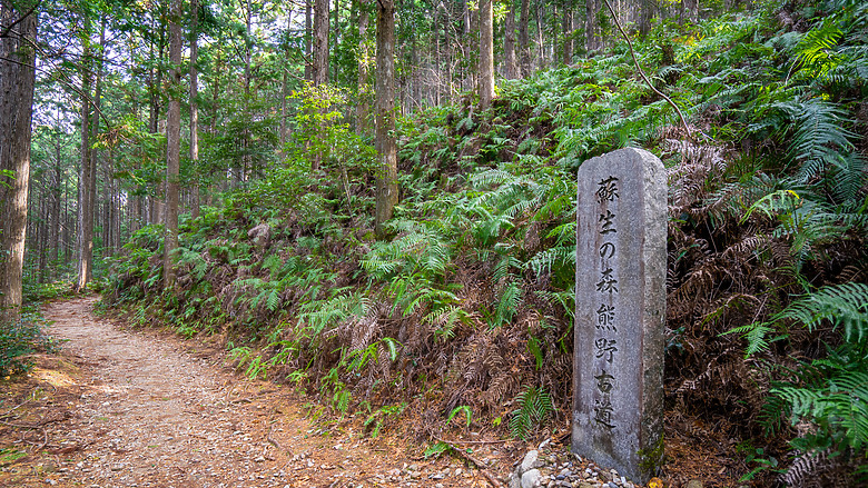 點我看大圖 2023冬☃ 世界遺產-和歌山紀伊半島熊野古道