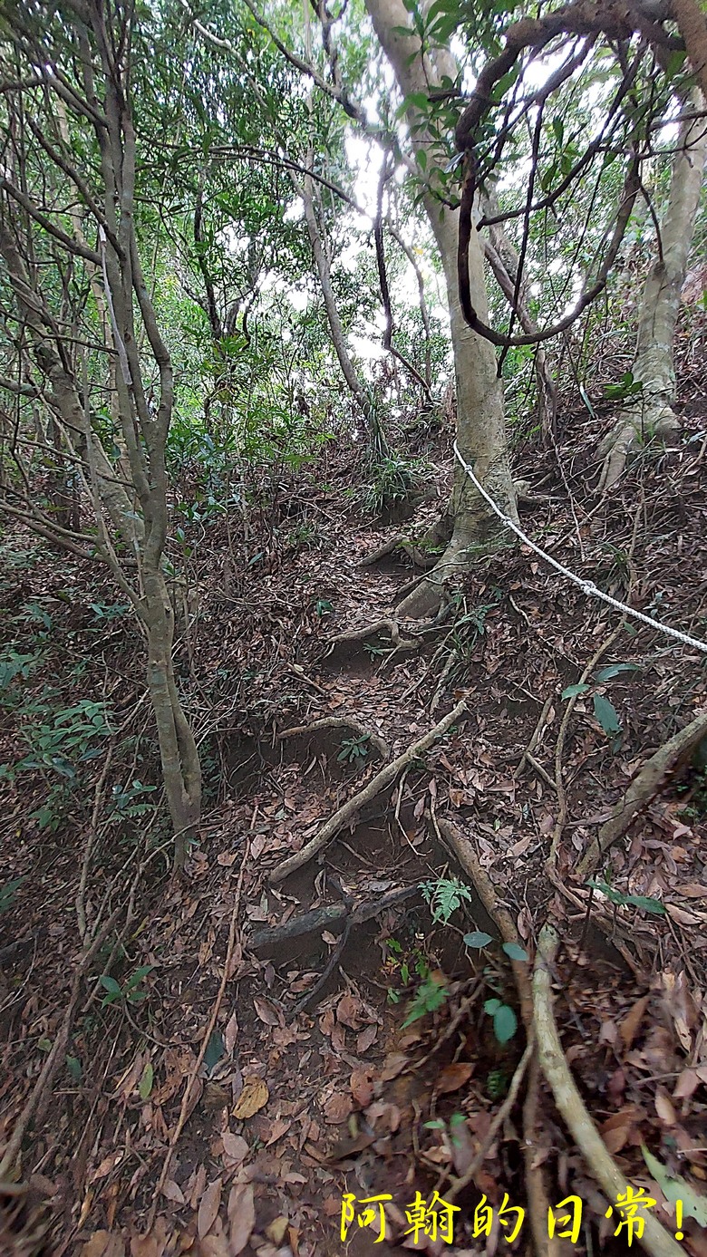 平溪好多尖｜尖山尖尖東峰 石燭尖、九龍山、無名尖、峰頭尖東峰，環狀O型走一圈