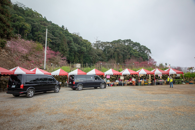 南投水里賞櫻｜集集車站與驛站、八張牛肉麵、阿本農場櫻花園、蠻荒咖啡