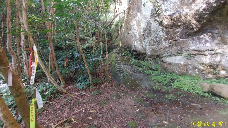 平溪好多尖|尖山尖尖東峰 石燭尖、九龍山、無名尖、峰頭尖東峰,環狀O型走一圈