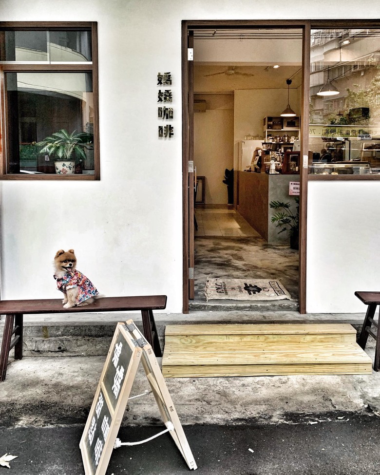 新店旅遊景點分享