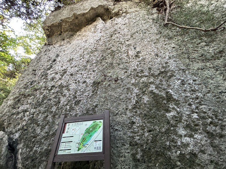 【小惡魔金龍踏春】壽山國家自然公園(半屏山登山步道健行)