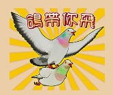 求有趣的鴿子貼圖
