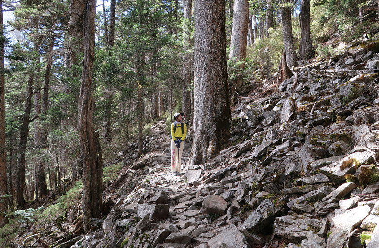 【玉山西峰】安排一日行程上山看看台灣最高神祠