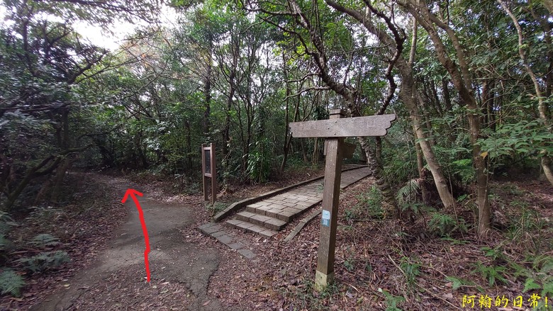 【小惡魔金龍踏春】雙心縱走 12座山峰+環湖走出心連心