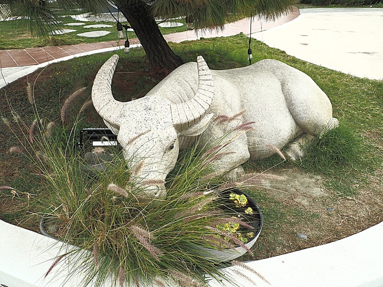 土庫驛可可莊園、土庫順天宮、土庫第一市場、怪人花枝鱔魚麵、黃金蝙蝠生態館、椬梧滯洪池、口湖遊客中心 — 2024年【小惡魔金龍踏春】春節假期遊程之二