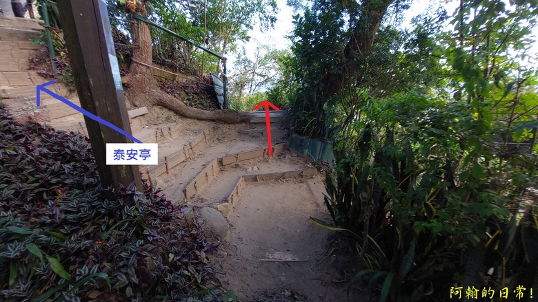 【小惡魔金龍踏春】雙心縱走 12座山峰+環湖走出心連心