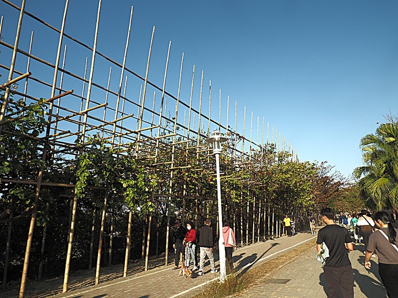 【小惡魔金龍踏春】「2024台灣燈會在臺南」之「臺南400」展區巡禮、空中展演第三部曲【夢迴臺南(多元生活)】全紀錄,順遊臺灣第一城與第一街